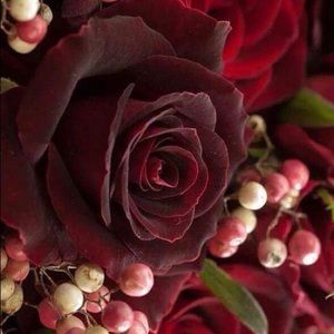 Meet your Posher, Barbara